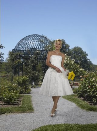 Novel Style Strapless Embroider Lacing Discount Ivory Design Wedding Dress New Style