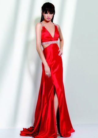 Seductive A Line Beading Straps Split And Furcation Evening Skirt