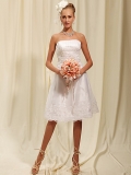 A Strapless Bateau Neckline Covered lace Knee Length Bridesmaid Dress