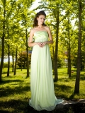 A line Plaated Strapless Special Floor Length Straps Evening Dress(FHFS-0010)
