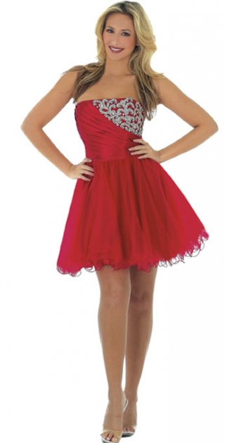 Cute Red Delicated Ball Gown Flat Neck With Appliques Cocktail / Party Skirt