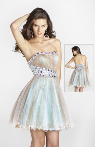 Top Tube Strapless Side Appliques Verticle Pleated Organza Homecoming /Bridesmaid Prom Dress