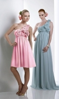 Fashion One Shoulder Chiffon Bridesmaid Dress/ Cocktail Dress / Evening Dress