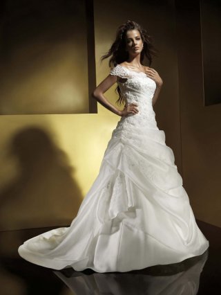 A-line Cap Sleeves Chapel Train Organza Wedding Dresses (yz0258)