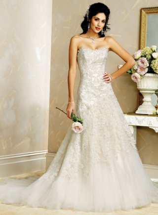 Slim A-line Strapless Tulle Lace Wedding Dresses (SK0073)