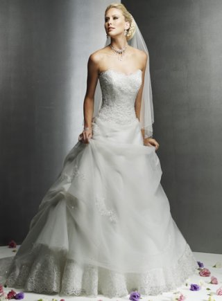 Strapless A-line Sweetheart Sweep Train Tulle Lace Gowns (SK0002)