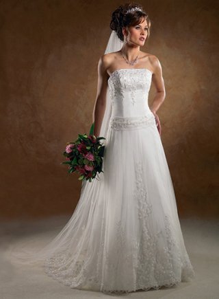 Strapless Slim A-line Chapel Train Tulle Wedding Dresses (SR0163)