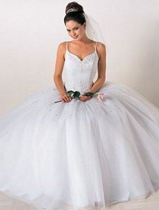A-line Spaghetti Ballgown Tulle Wedding Dresses (SR0036)