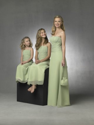 Strapless A-line Chiffon Bridesmaid Dresses (KB0261)