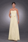 Strapless A-line Dropped Waistline Special Occasion Dresses (KSP0054)