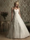 Romantic Lace Applique Ball Gown Wedding Dress