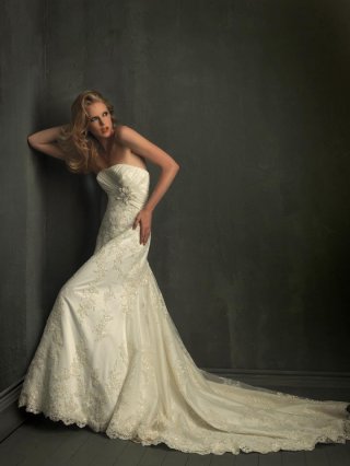 Sexy Strapless Taffeta Lace A-line Silhouette Formal Wedding Dress