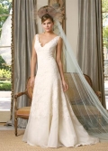 V-neck Chapel train Lace Organza A-line/Princess Bridal Dress
