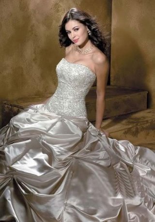 Strapless Embroidery Taffeta Ball Gown Champagne Wedding Dress
