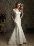 Lace applique Sweetheart Neckline Mermaid/Trumpet Wedding Dress