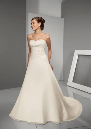 Ivory Strapless Embroidery Chiffon A-line/Princess Wedding Gown
