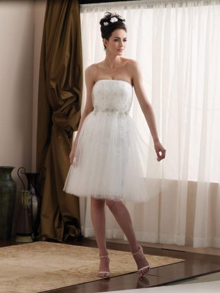 Short Knee length Taffeta Tulle Appliqu