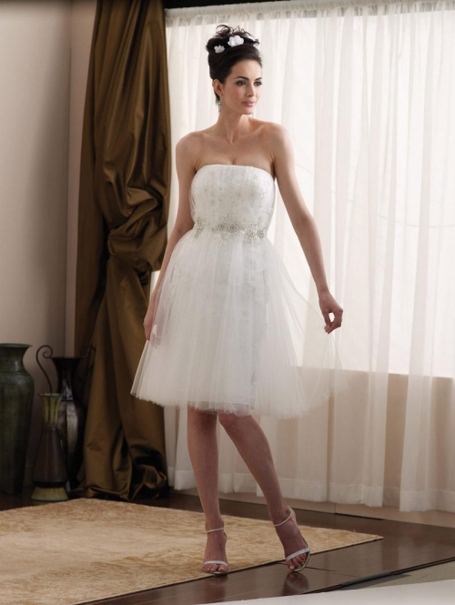 Short Knee length Taffeta Tulle Appliqu