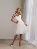Short Wedding Dress Ivory Lace Tulle Strapless Sweetheart
