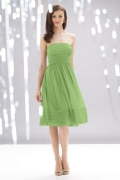 Midor Chiffon Short Bridesmaid Dress Shirred Skirt Pleated Hem
