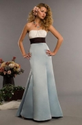Strapless Full length Sash Bridesmaid Dress