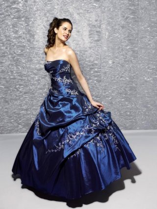 Navy Quinceanera Embroidery Ball Gown Sweet Sixteen Dress