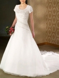 Embroider A-line square Short Sleeves semi-cathedral organza/satin wedding dress