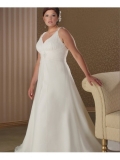 Chiffon V-neckline Empire simple Wedding Dress