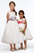 Ivory Organza Dress with Sash