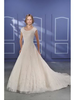 Graphic Floor Length A-Line Short Sleeves Sweep Train With Embroidery Wedding Dresses WDresses00998