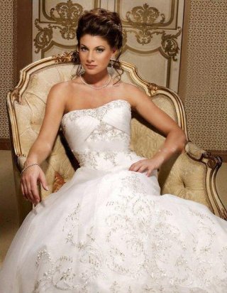 Princess Strapless Court Train Satin & Organza Bridal Gown