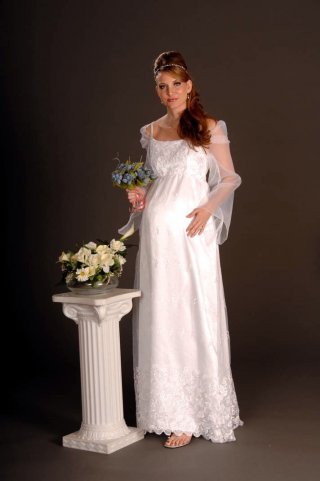 Organza Scoop Neckline Long Sleeves Empire Applique Embroidery