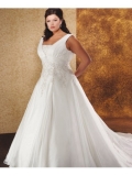 Organza Sleeveless V-neckline Embroidered Bodice Wedding Dress