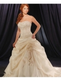 Organza Strapless Softly Curved Neckline Embroidered Bodice Wedding Dress