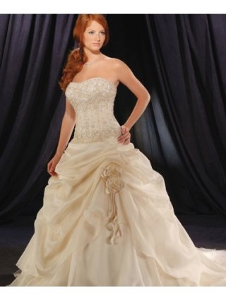Organza Strapless Softly Curved Neckline Embroidered Bodice Wedding Dress