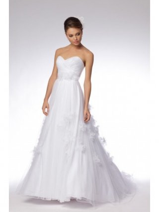 point d'esprit Strapless Ball Gown Wedding Dress