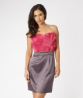 Lipsy Pleated Fan Bust Dress