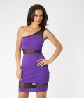 Lipsy Mesh Panel One Shoulder Dress