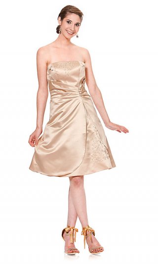 Strapless Knee Length Poly Dress