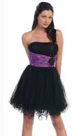 Short Strapless Tulle Party Dress