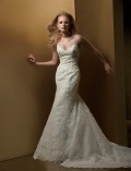 A-line Spaghetti Chapel Train Lace Wedding Dresses (SV0190)