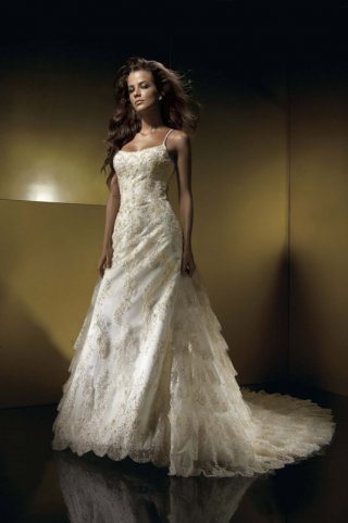 A-line Spaghetti Chapel Train Tulle Lace Wedding Dresses (SV0181)