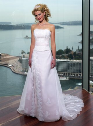 A-line Strapless Chapel Train Tulle Wedding Dresses (ms0195)