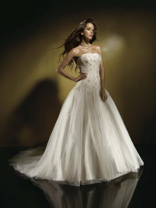 A-line Strapless Chapel Train Tulle Wedding Dresses (ms0183)