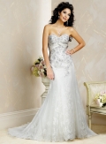 Slim A-line Strapless Sweetheart Tulle Lace Wedding Dresses (wd0094)