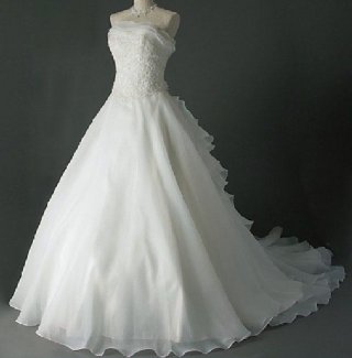Long Organza Trailing wedding gown