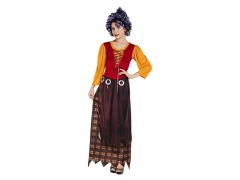 crazy witch costume