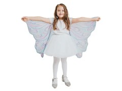 Carnival Butterfly COSTUME