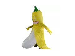 Halloween Inflatable COSTUME