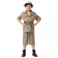 Fancy-dress Costume